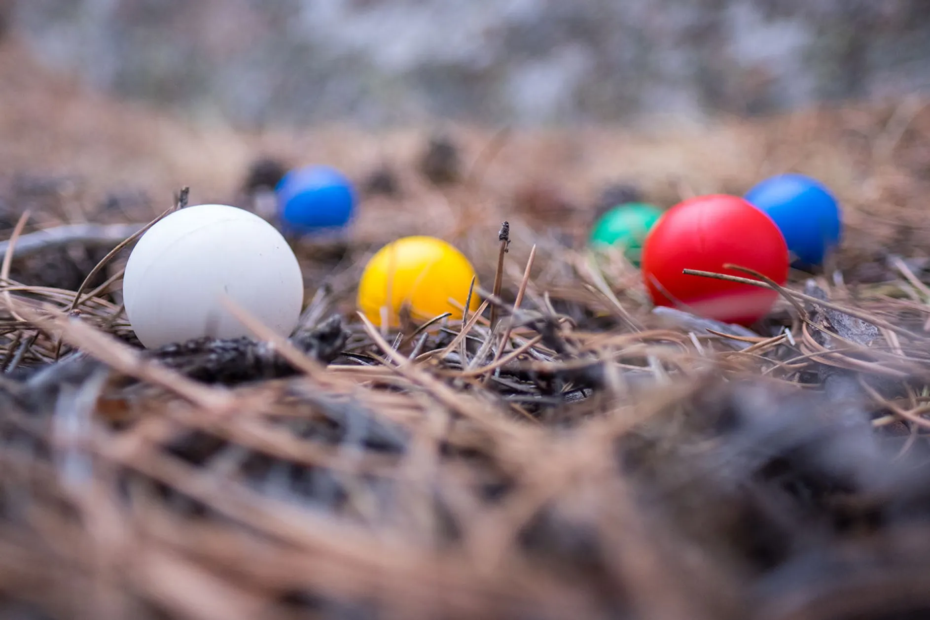 Backpack Bocce Ball