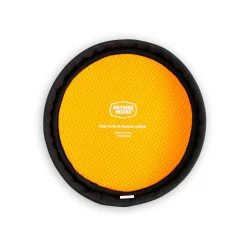 Mini-Neo Flyer