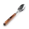 Rakau Table Spoon